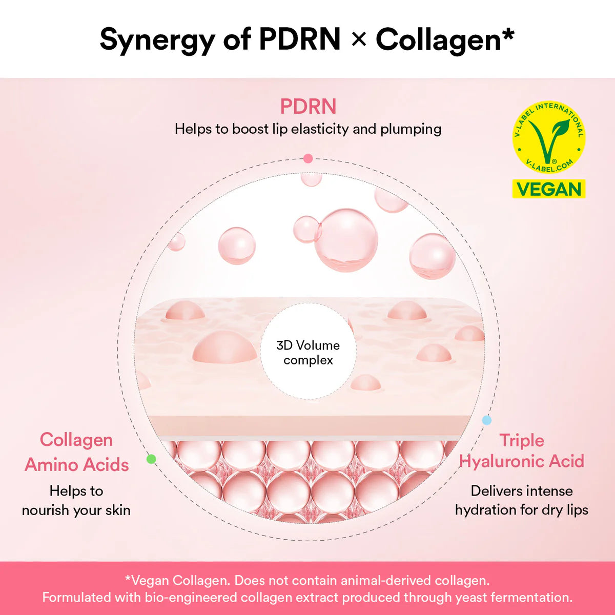 Abib PDRN Vegan Collagen lip mask Glazed jelly