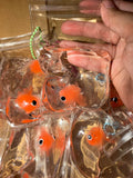 Fish in a Bag SQUISHIES