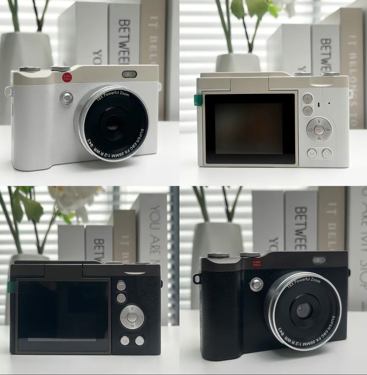 Portable Digital Camera