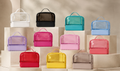 Travel/Organizer Bag