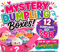 Dumpling Mystery Box