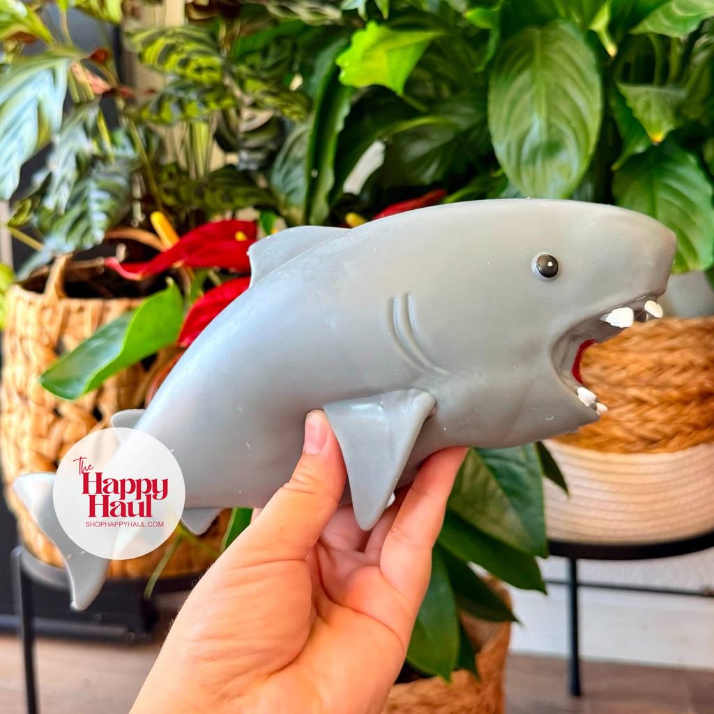 JUMBO Squishy Preorder