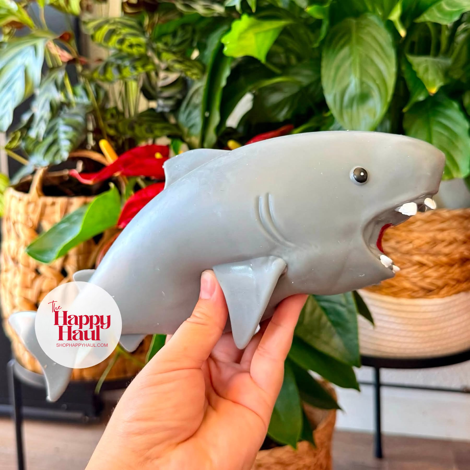 JUMBO Squishy Preorder