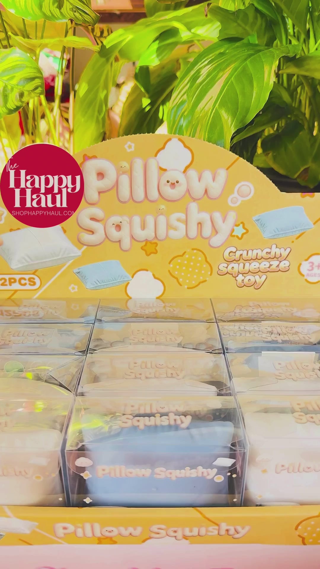 Crunchy Pillow