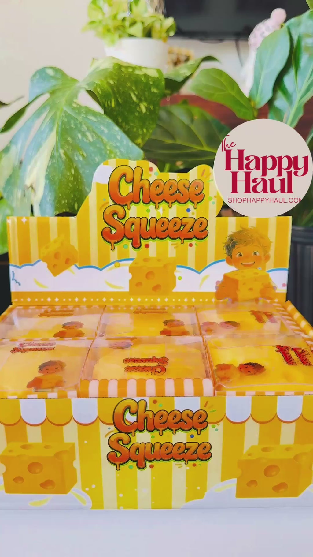 Cheese Squeeze Squishy